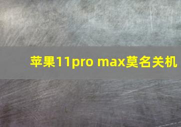 苹果11pro max莫名关机